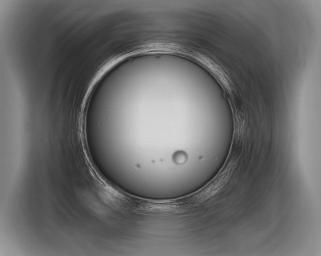 X0000116621486200912111146