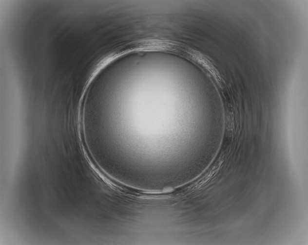X0000116621487200912111146
