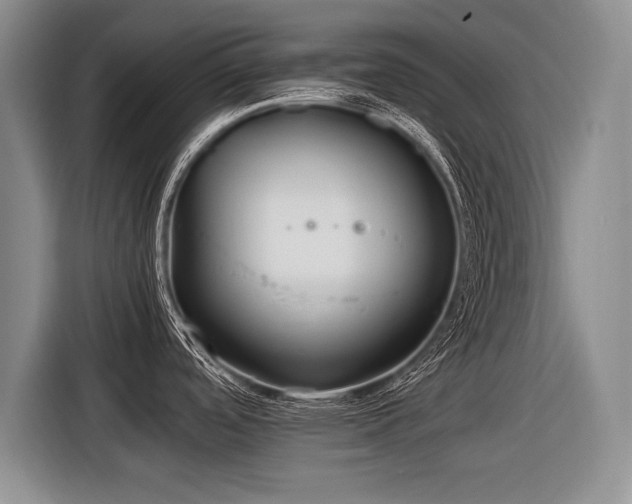 X0000116621488200912111146