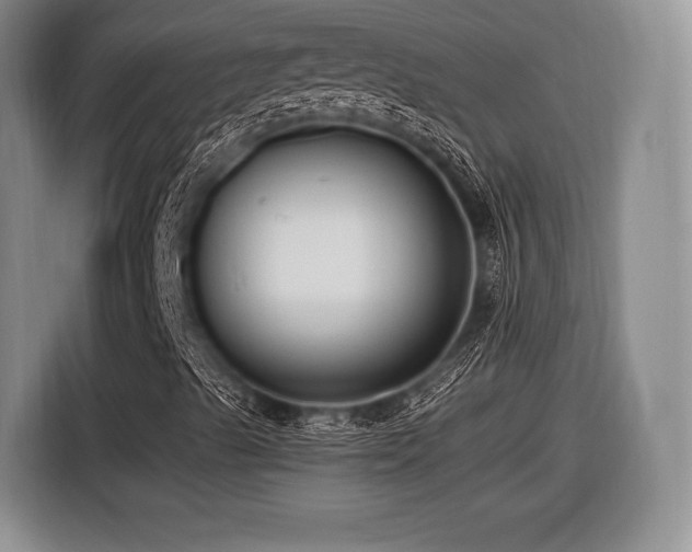 X0000116621489200912111145