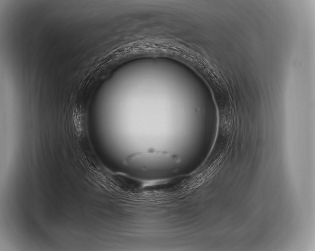 X0000116621490200912111145