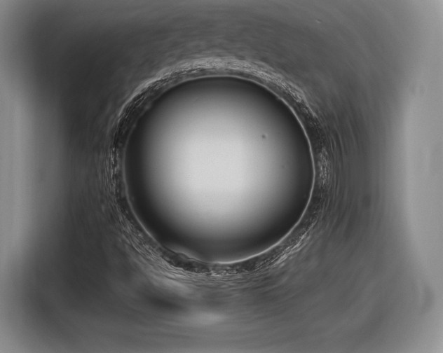 X0000116621494200912111146