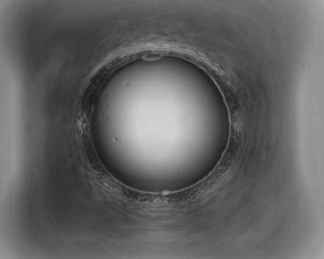 X0000116621495200912111146