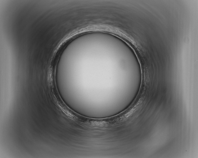 X0000116621498200912111146