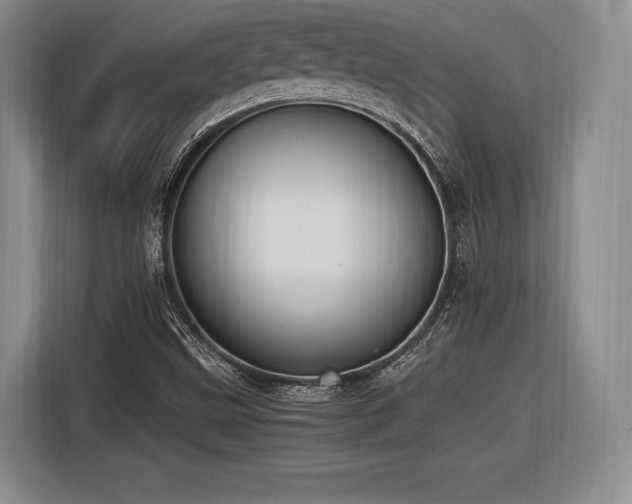 X0000116621499200912111146