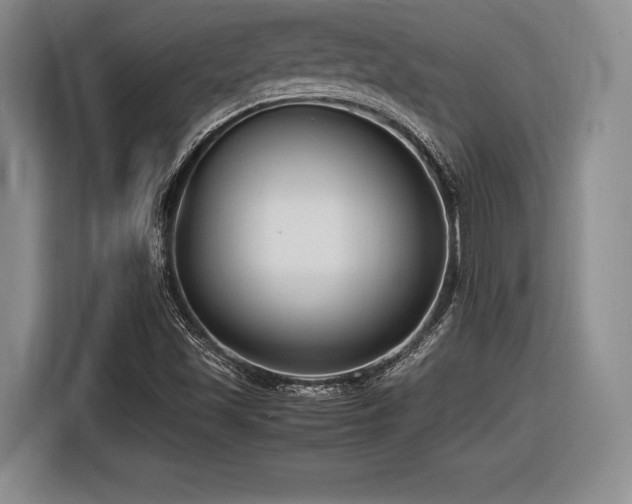 X0000116621501200912111146