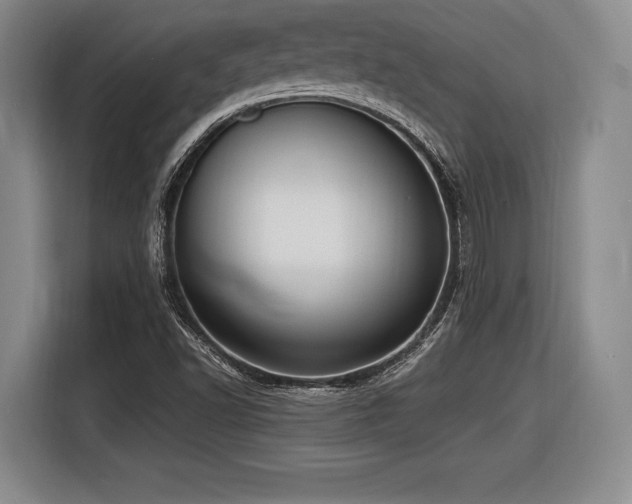 X0000116621502200912111146