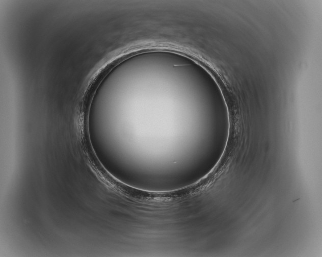 X0000116621503200912111146