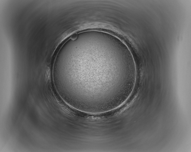 X0000116621505200912111146