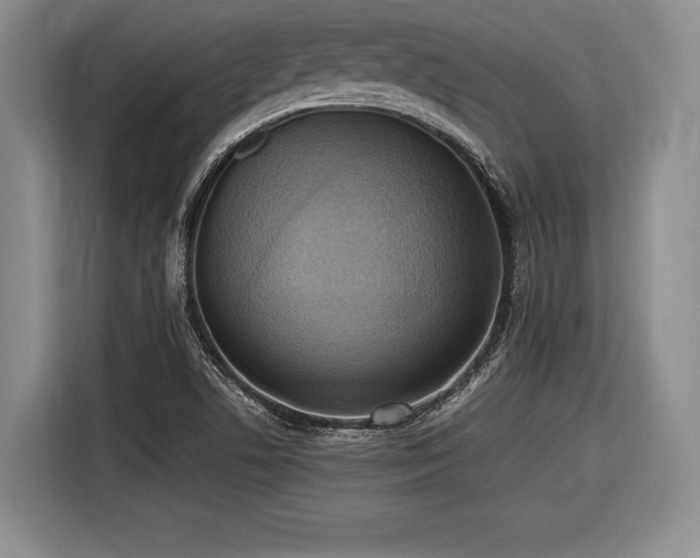 X0000116621506200912111146