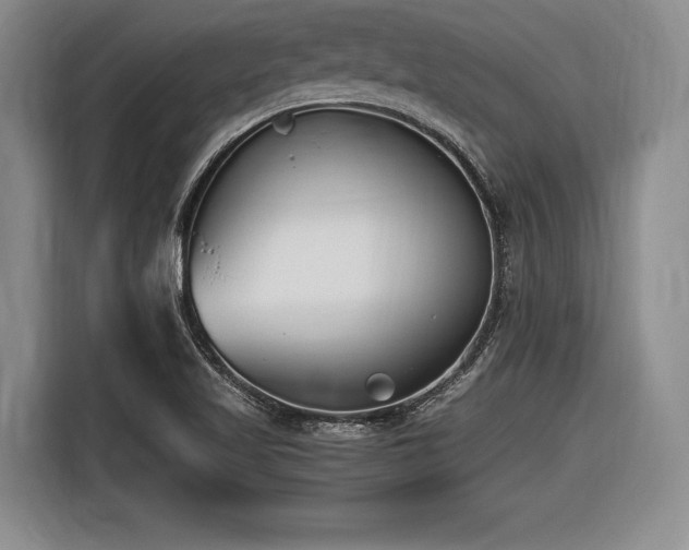 X0000116621509200912111146