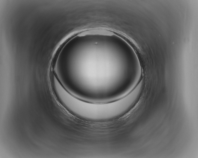 X0000116621510200912111146