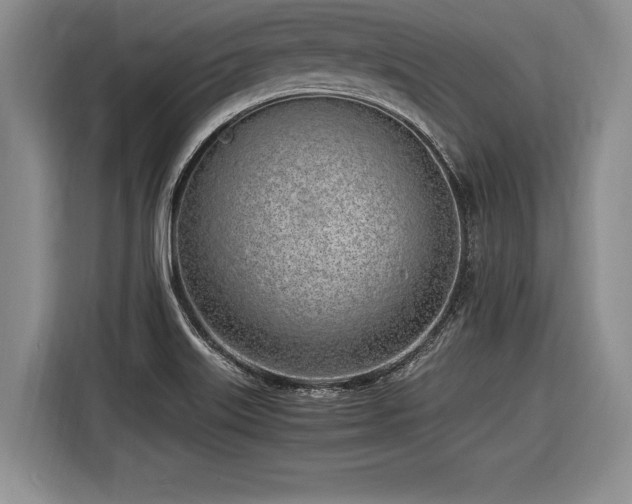 X0000116621515200912111146