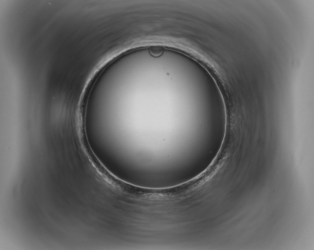 X0000116621517200912111146