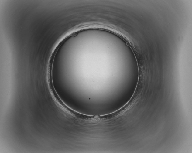 X0000116621518200912111146