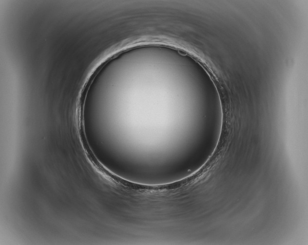 X0000116621519200912111146