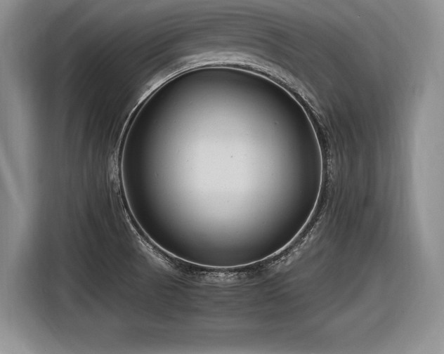 X0000116621521200912111146