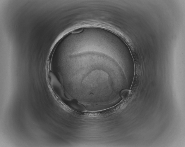 X0000116621522200912111146