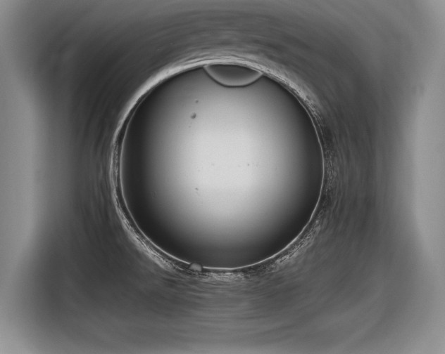 X0000116621526200912111146