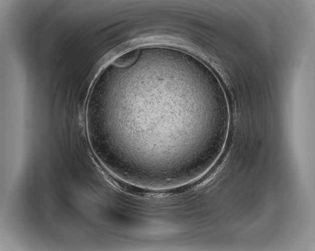 X0000116621529200912111146