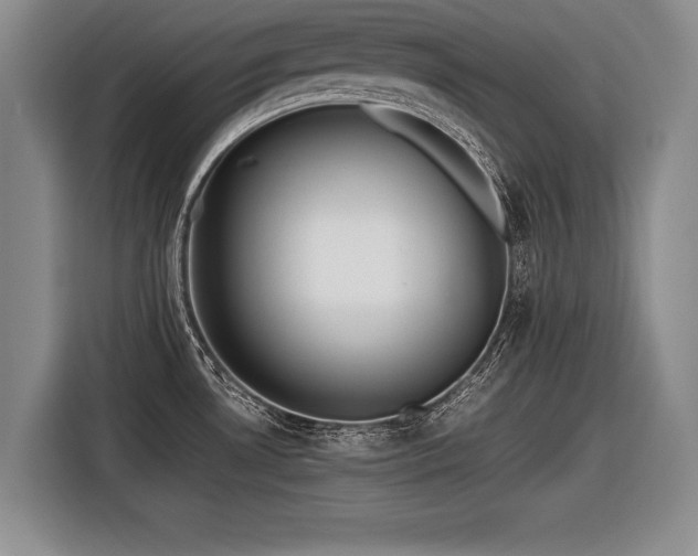 X0000116621530200912111146