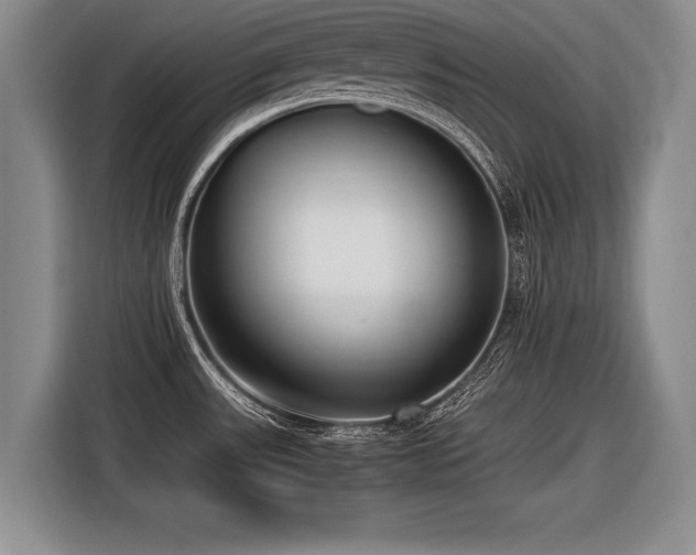 X0000116621531200912111146