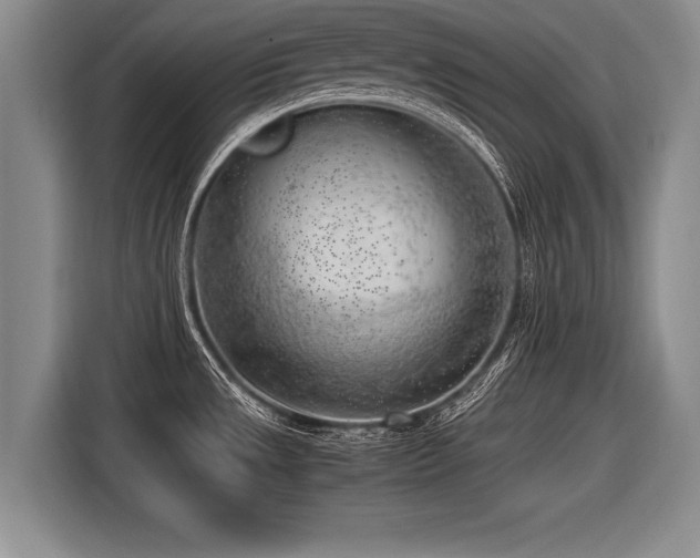 X0000116621533200912111146