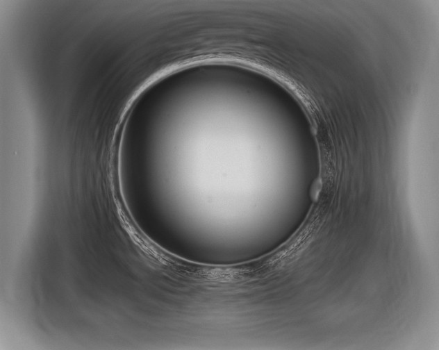 X0000116621534200912111146