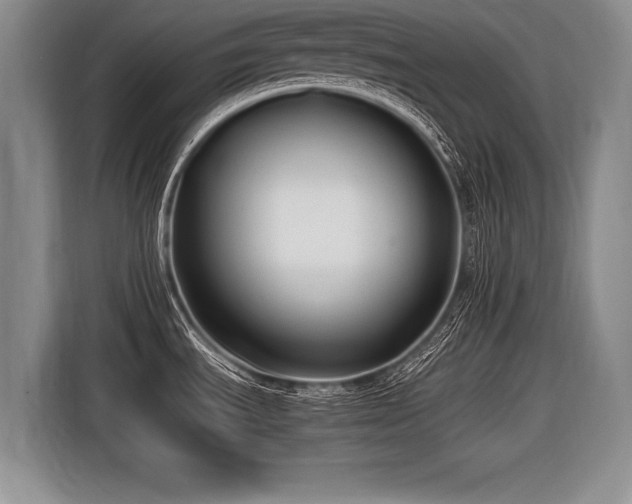 X0000116621535200912111146