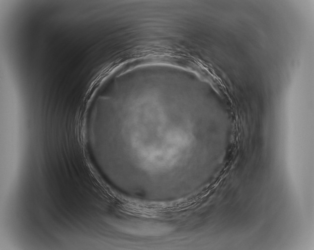 X0000116620002200912181314