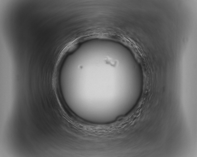 X0000116620003200912181314