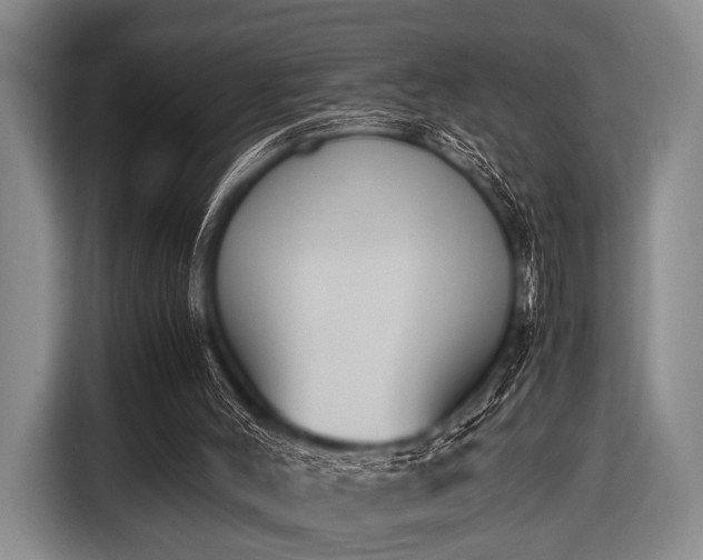 X0000116620004200912181314