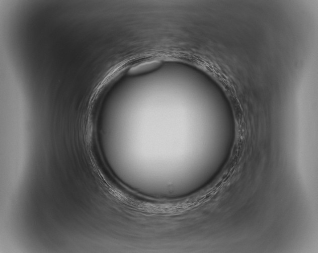 X0000116620005200912181314