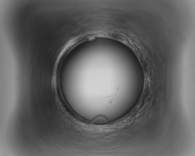 X0000116620006200912181314