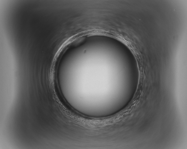 X0000116620007200912181314