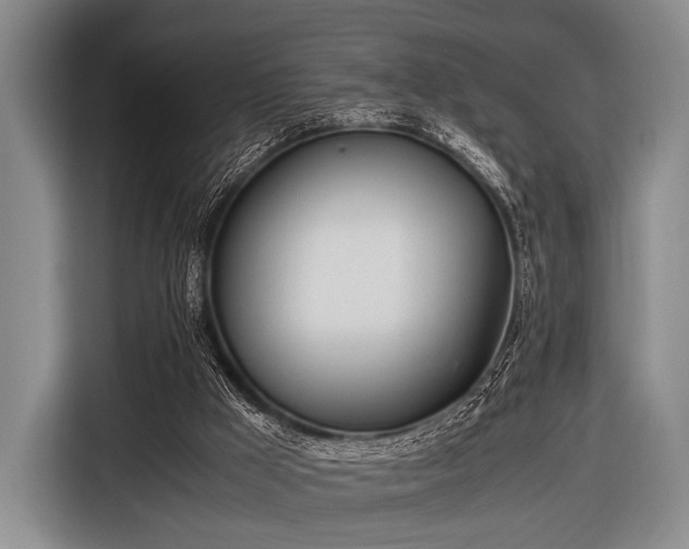 X0000116620009200912181314