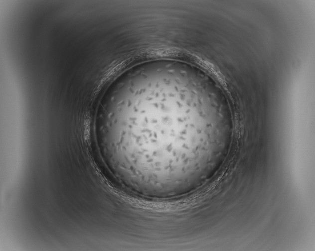 X0000116620010200912181314