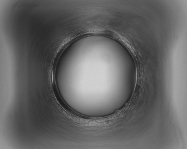 X0000116620011200912181314