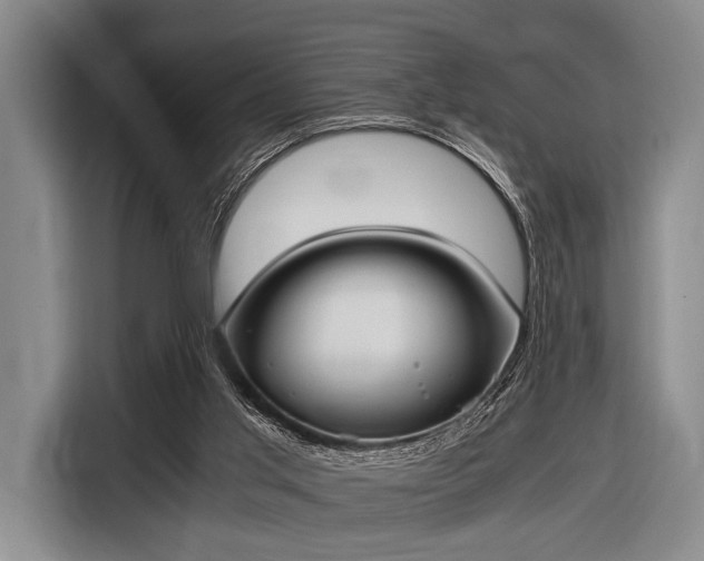 X0000116620013200912181314