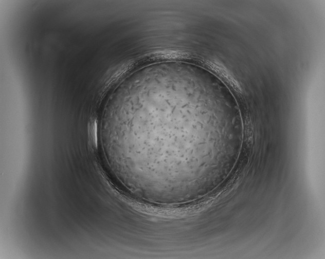 X0000116620014200912181314