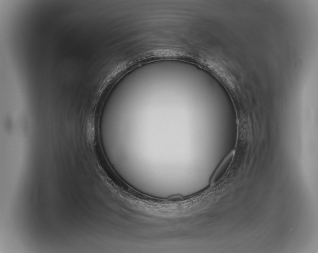 X0000116620015200912181314