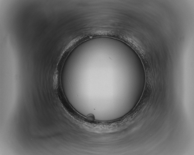 X0000116620016200912181314