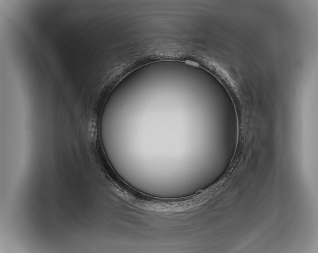 X0000116620017200912181314