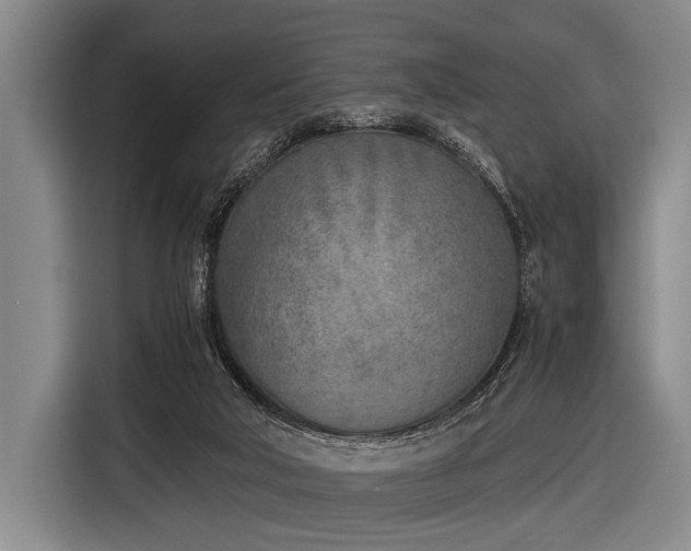 X0000116620018200912181314