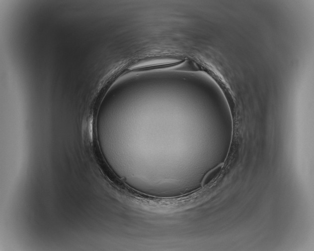 X0000116620019200912181314