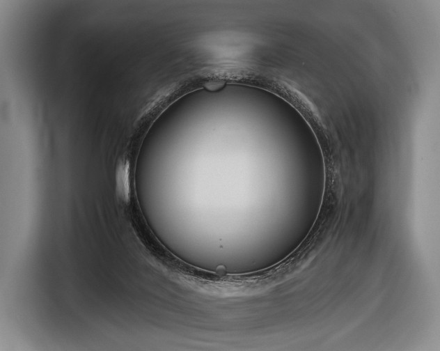 X0000116620020200912181314