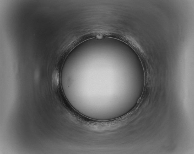 X0000116620021200912181314