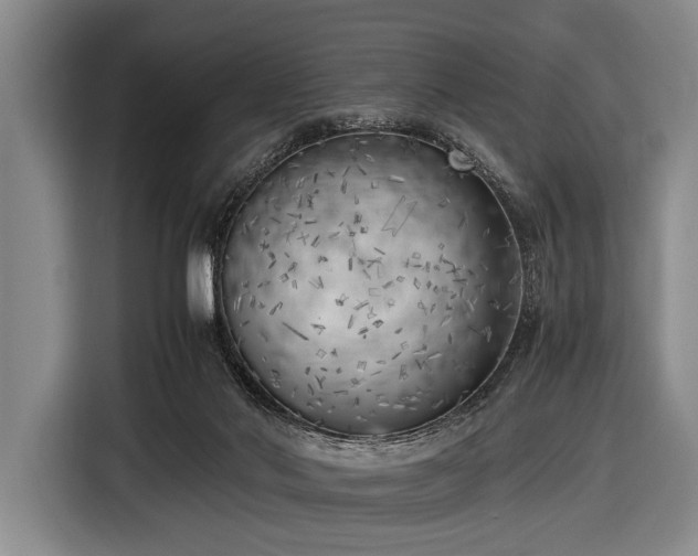 X0000116620022200912181314