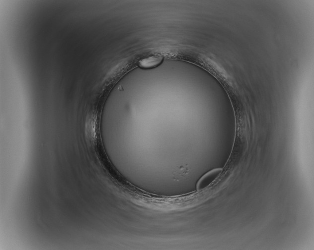 X0000116620023200912181314