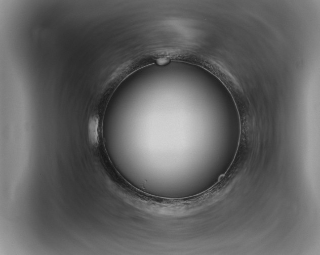 X0000116620024200912181314